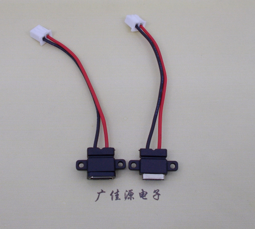 凤岗镇简易type c2p防水母座注塑成型带双螺丝孔焊线式带线带接线端子单充电功能
