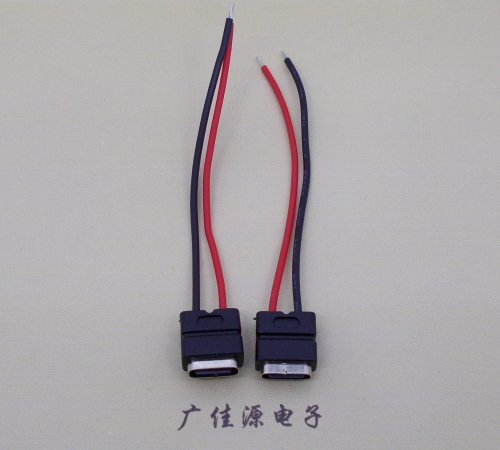 凤岗镇type c2p防水母座焊线式带线注塑成型带接线端子/不带接线端子充电连接器