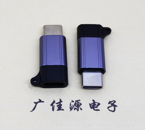 凤岗镇Type-C母转Type-C公 USB3.1 PD100W快冲接口